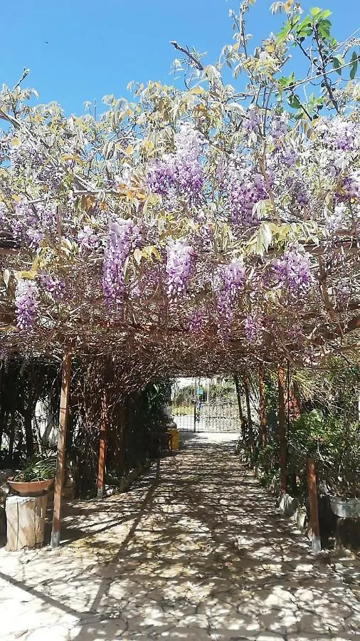 Villa Murgia Solanas